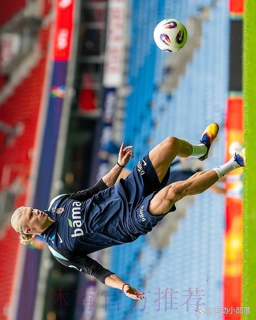 世界杯阿根廷哈兰德战术分析全面分析