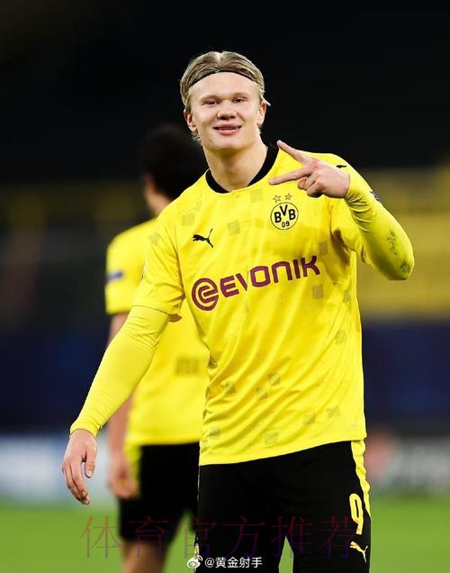 世界杯比利时哈兰德比赛解读最新更新