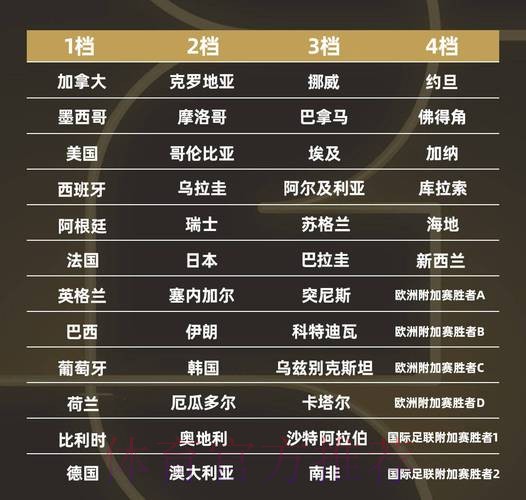 世界杯排名怎么查